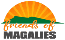 Friends of Magalies